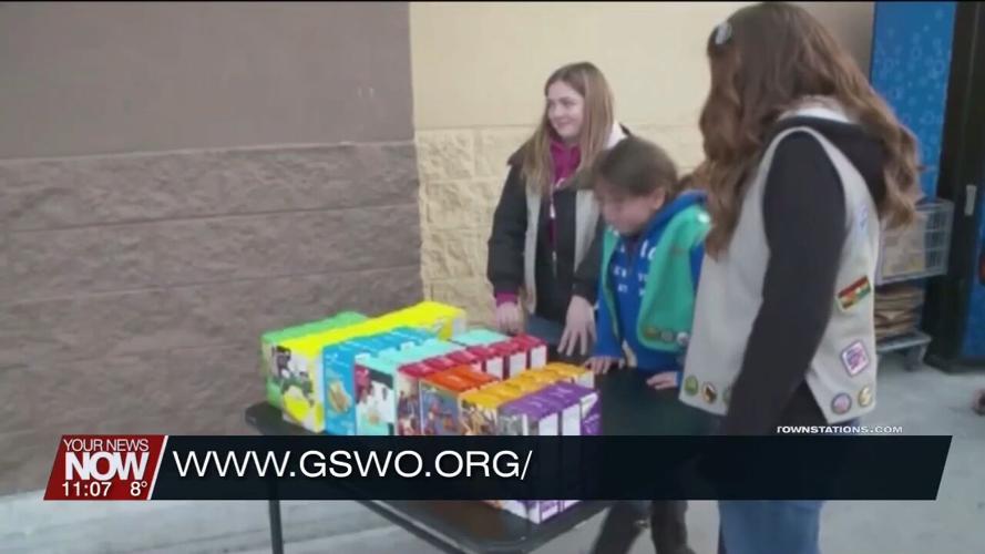 Girl Scout Cookies are on sale now