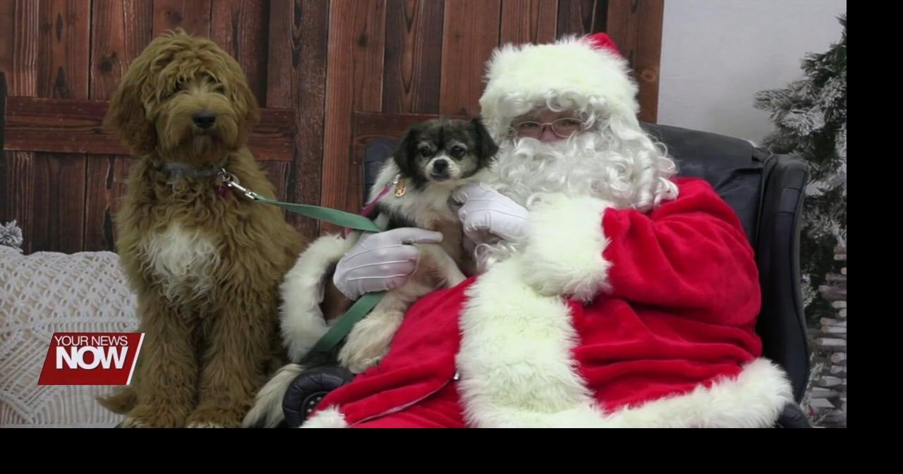 A Lotta Love Pet Rescue helping fund spay/neuter project with holiday