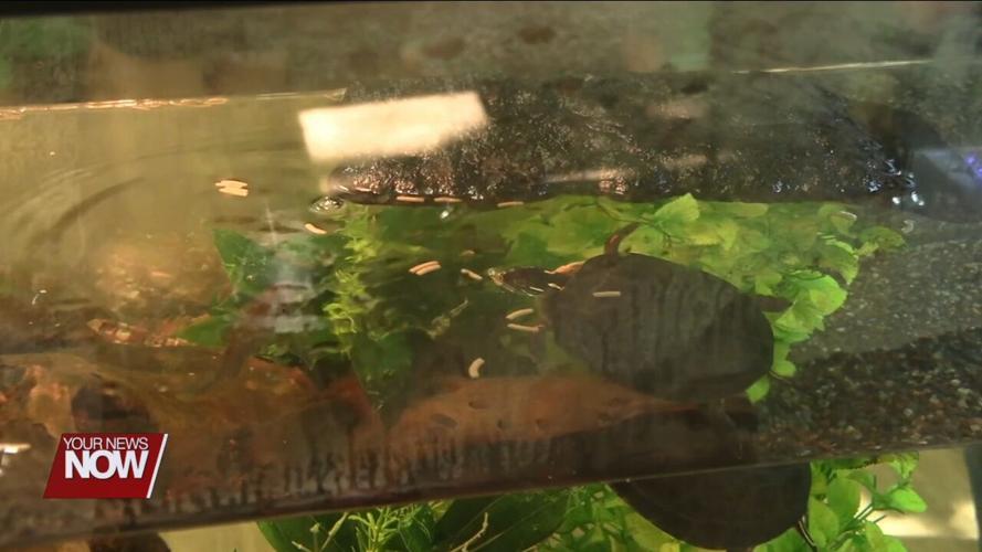 JAMPD Feeding Day gives kids hands-on lesson about diets of ambassador animals