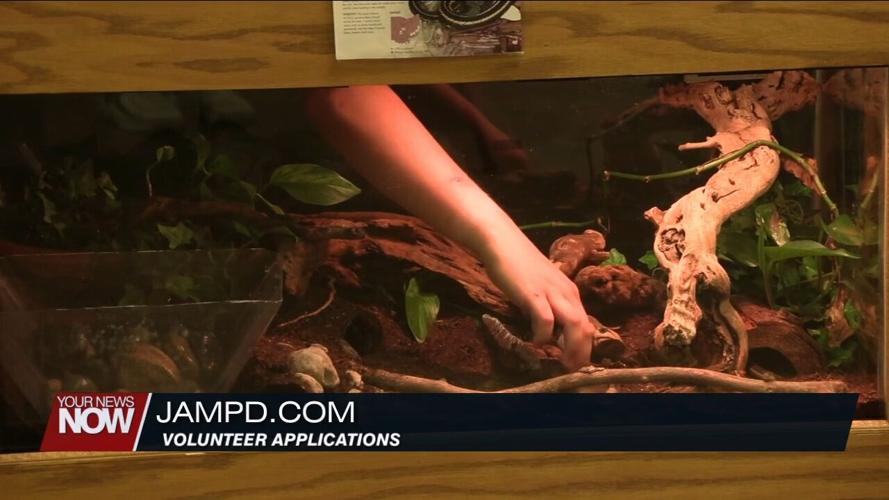 JAMPD Feeding Day gives kids hands-on lesson about diets of ambassador animals