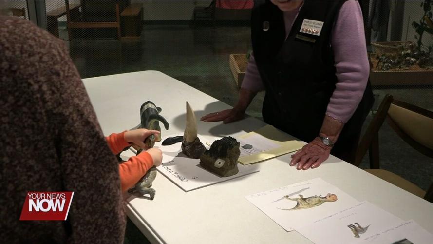 OSU Lima professors team up with Allen County Museum for interactive National Fossil Day