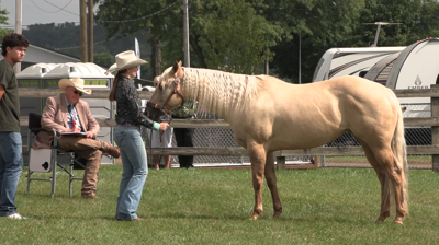Auglaize County Junior Fair holds horse and pony show