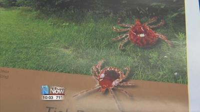 Prevent Tick Bites As Temps Warm Up