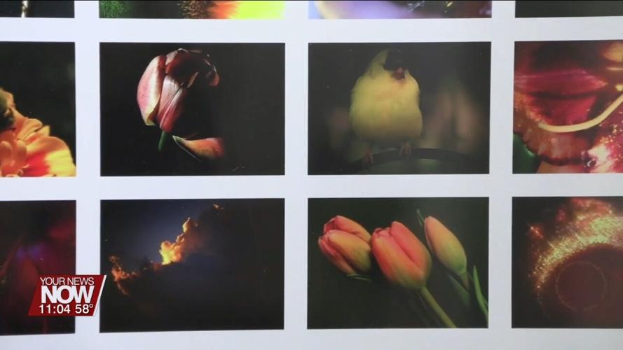 Artist define the word Habitat in a new exhibit at ArtSpace Lima