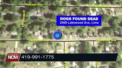 Ohio SPCA seeks information on two skinned canines found in the driveway of a Lakewood Ave property