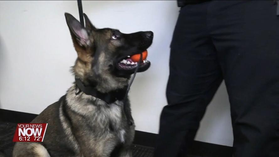 Lima Police Department introduces their newest officer