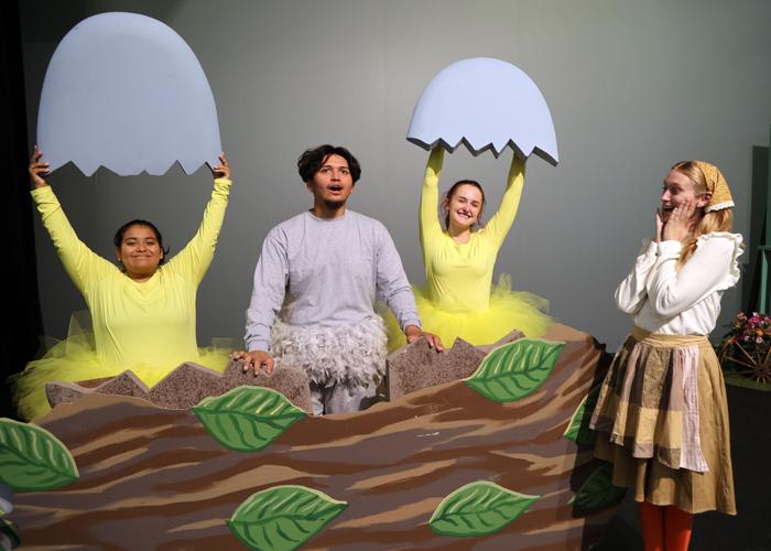 Ohio State Lima Theatre for Young Audiences presents The Ugly Duckling