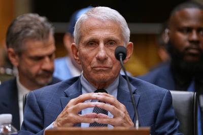 Fauci contempt