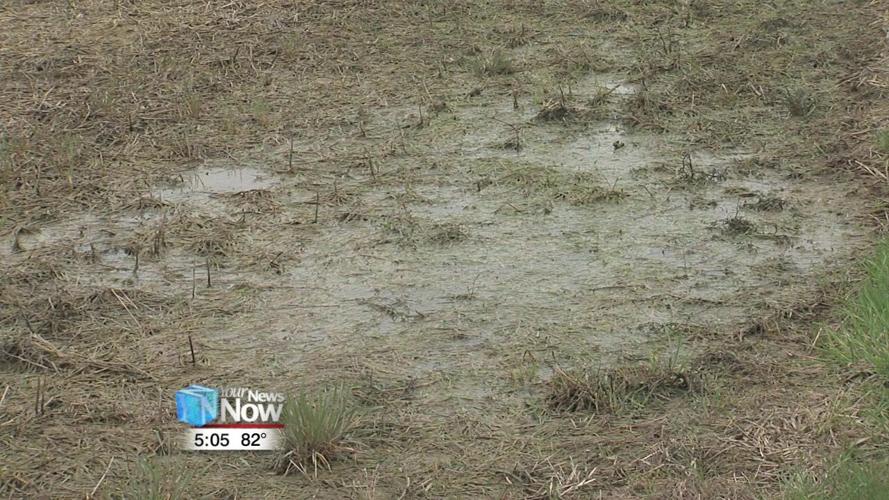 Corn crop insurance deadline looms as wet fields prevent planting 1.jpg