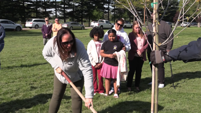 Sycamore tree planted in memory of Lima Central Catholic athlete