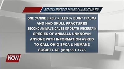 Ohio State Veterinary Medical Center completes necropsy on skinned canines found in Lima