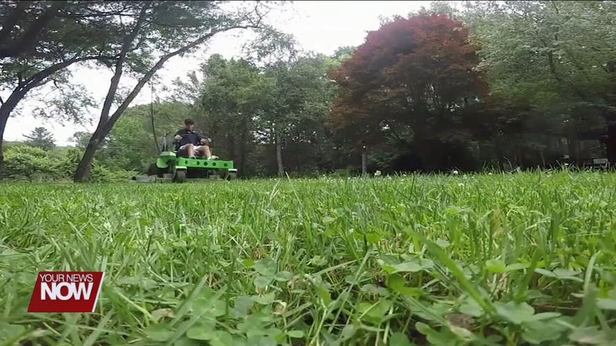 Program available to help Allen County seniors with lawn upkeep and other outdoor chores