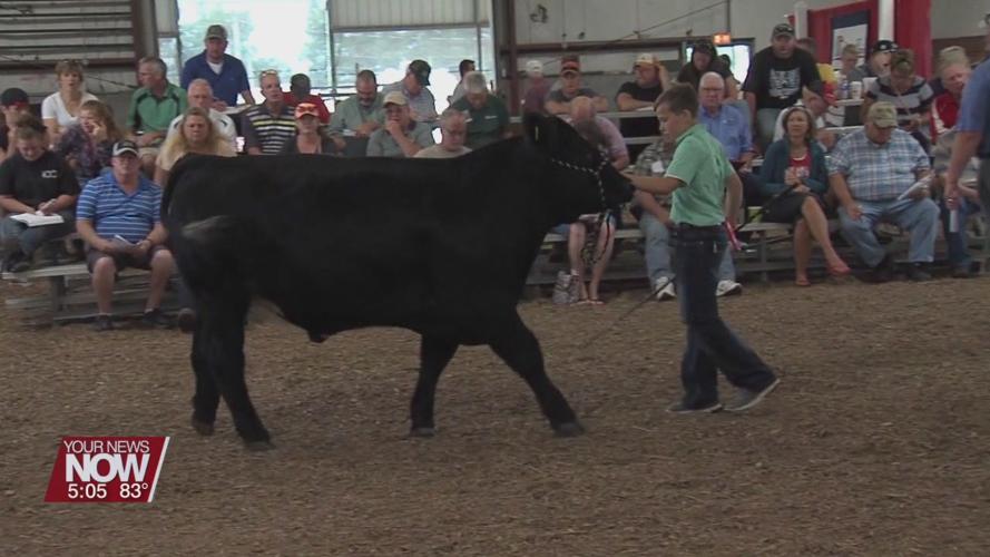 Allen County Fair board figuring out details for this year's fair