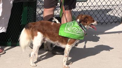 Ribbon cut for Bluffton Dog Park dedicated to Katrina Riepenhoff