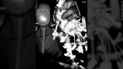 Suspect Nancy Guthrie