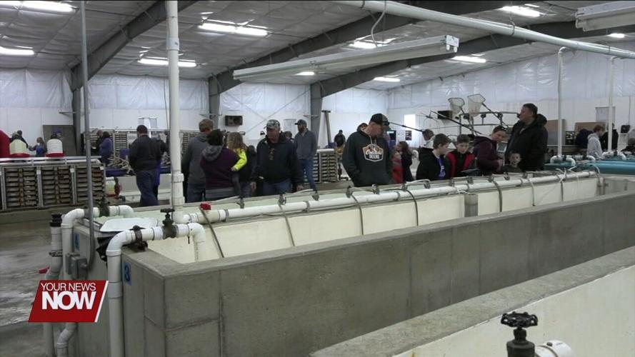 St. Marys Fish Hatchery holds open house for people to check out their operations