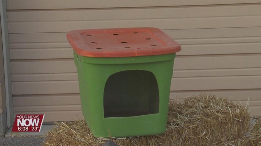 Allen County Dog Warden urging residents to protect pets from frigid temperatures