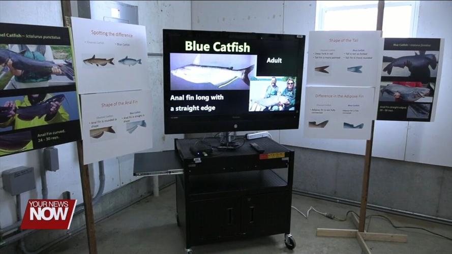 St. Marys Fish Hatchery holds open house for people to check out their operations