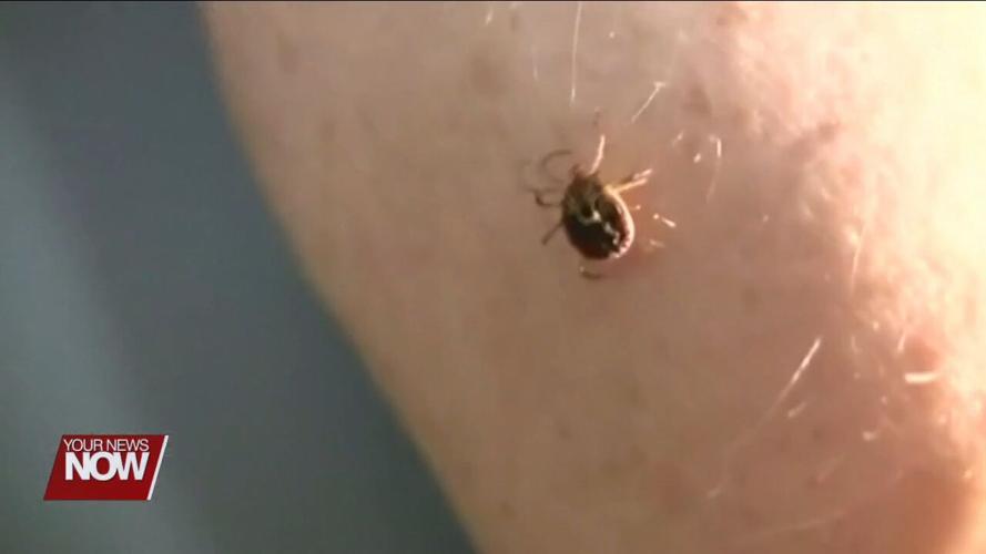 Watch for ticks this summer