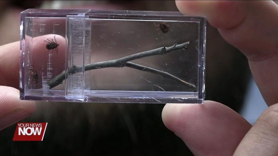 Watch for ticks this summer