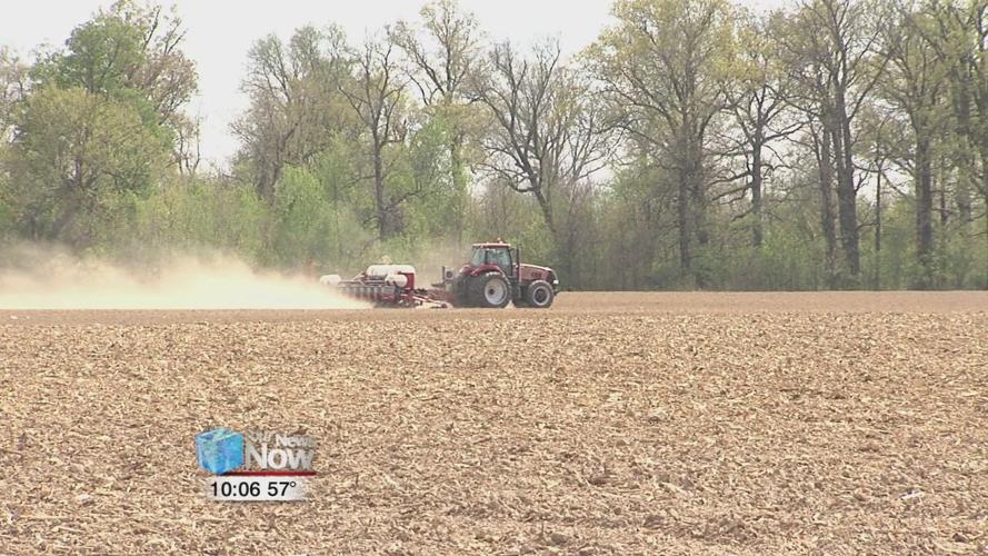 A look ahead at the 2020 planting season