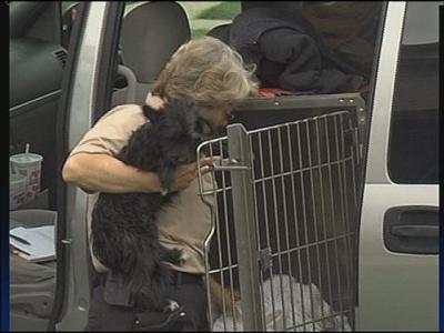 Dog tag blitz results