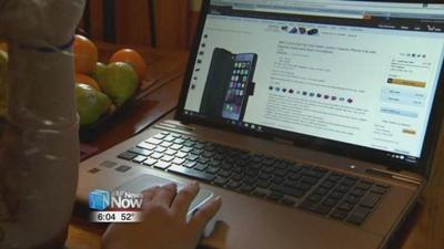 Tips to Stay Safe while Online Shopping