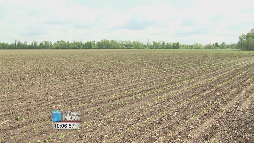 A look ahead at the 2020 planting season