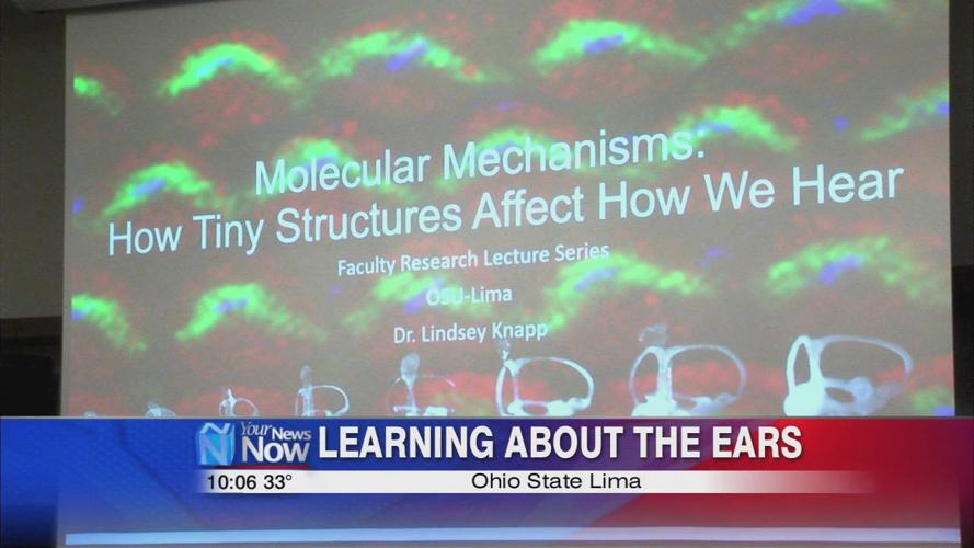 OSU students learn more about the ear from visiting lecturer of biology