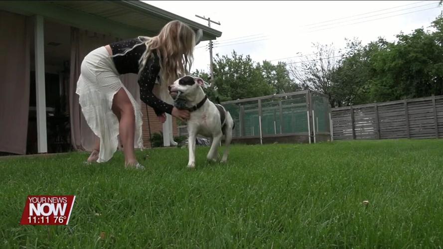 Local Author Publishes her first book about how a lost puppy changed her life 'fur-ever'