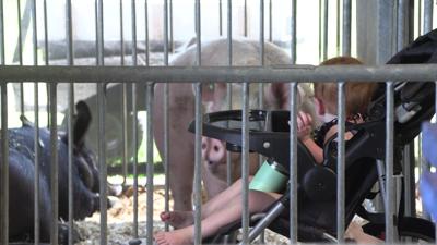 Mercer County Fair opens in Celina