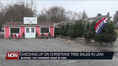 Blooms on Shawnee Road provide update on 2024 Christmas tree sales thus far