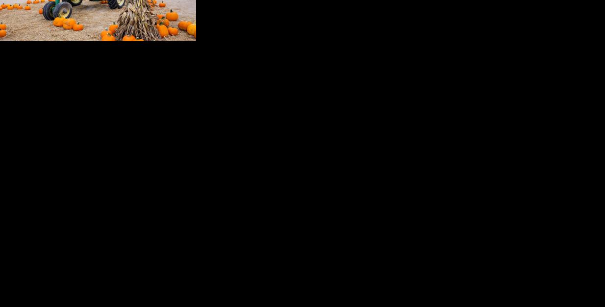 Antique Tractor Fall Pumpkins Generic