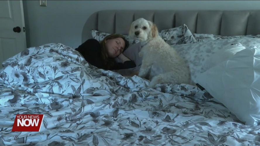 Dog warden offers advice for those wanting a new pet for Christmas