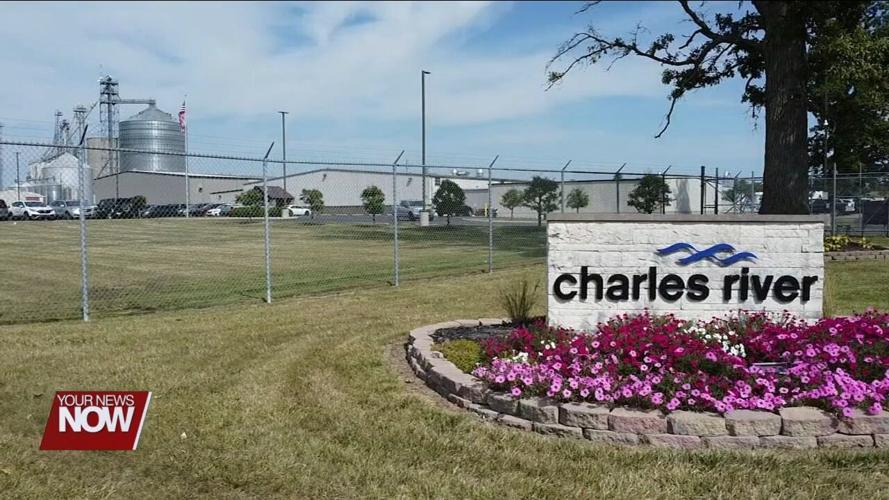 Growing STEM: Partnership between Charles River and Ohio State Lima brings opportunities to students