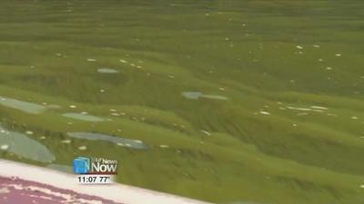 Legislation to preserve Great Lakes passes Senate committee unanimously