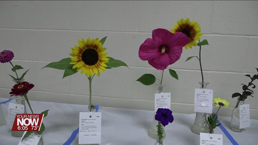 Beautiful flower exhibits are on display at the Allen County Fair