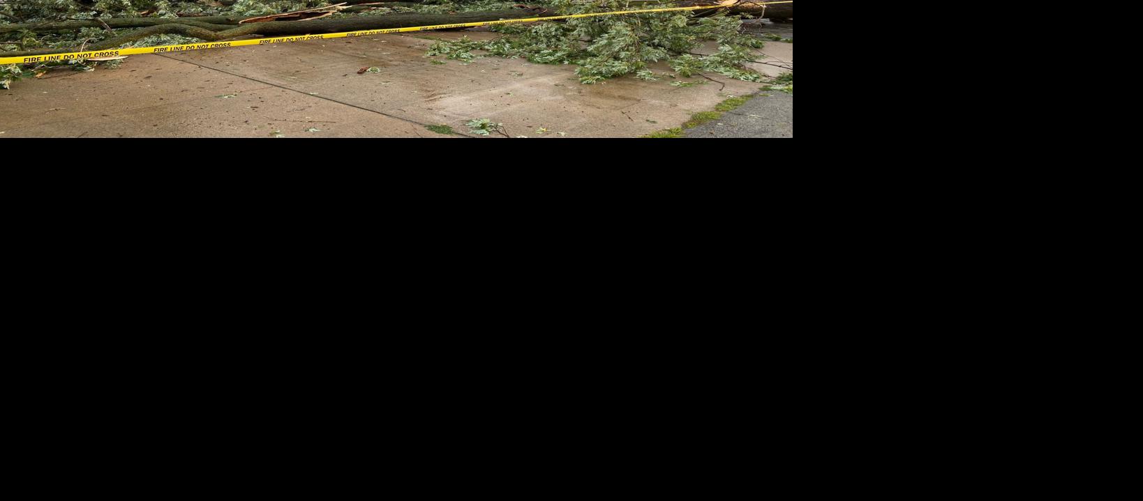 Ohio City woman killed after tree crashes onto patio