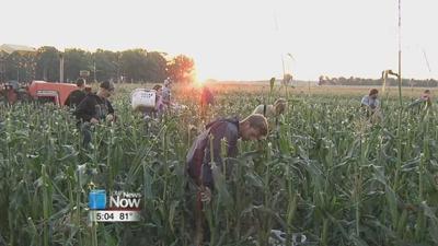 Lessons from the farm