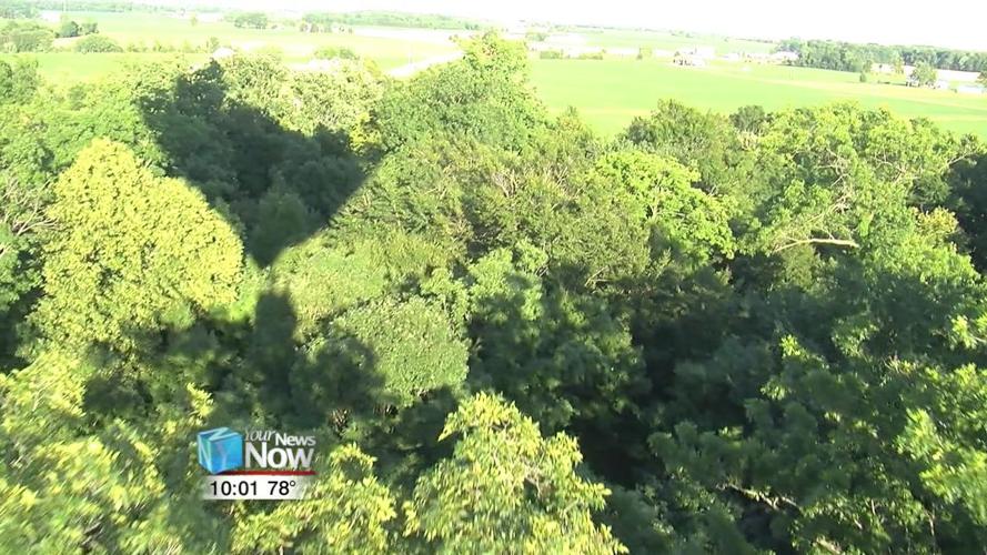 Hot air balloons hit the skies at the Auglaize County Fairgrounds 1.jpg
