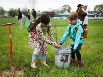 Committed to conservation: ODNR announces five tree planting events with Ohio Girl Scouts
