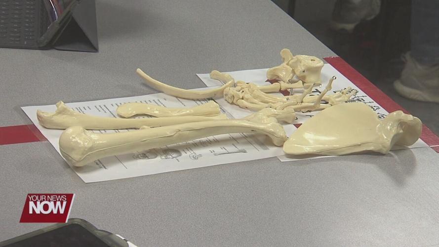 St. Rita's now home to Ohio State Lima's advanced anatomy lab