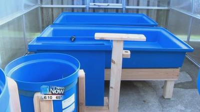 LACNIP new Aquaponics system
