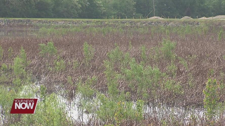 Waiting on rain to fill Schoonover Lake