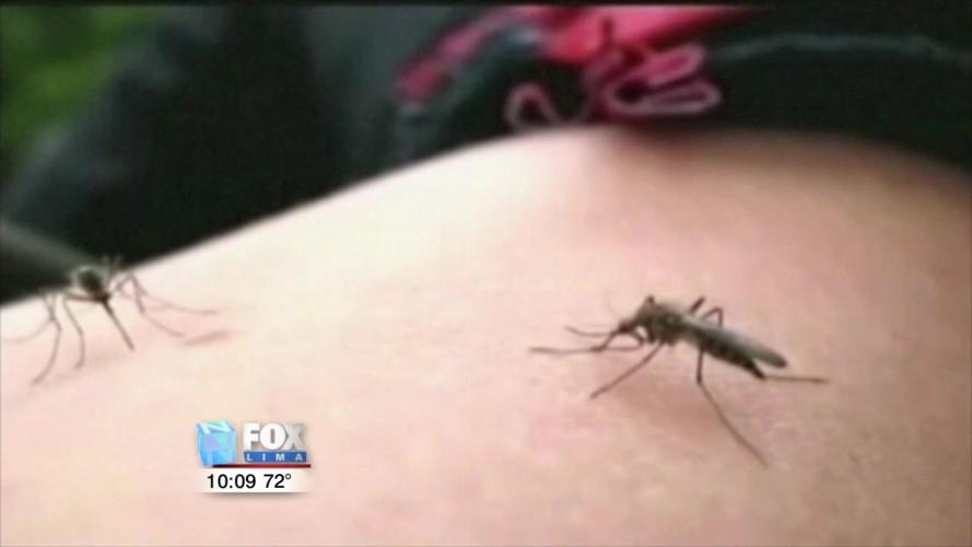 Mosquitoes test positive for West Nile Virus in Hancock County 2.jpg