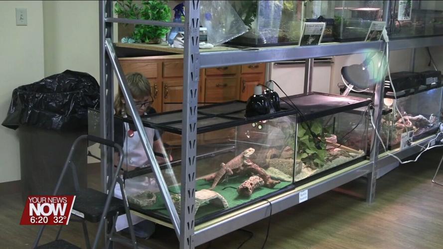 JAMPD offers the public a chance to check out their educational animals during feeding time