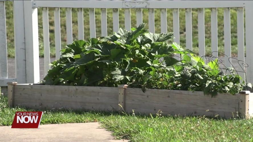 Lighthouse Behavioral Health Solutions holds open house at new S. Cable location