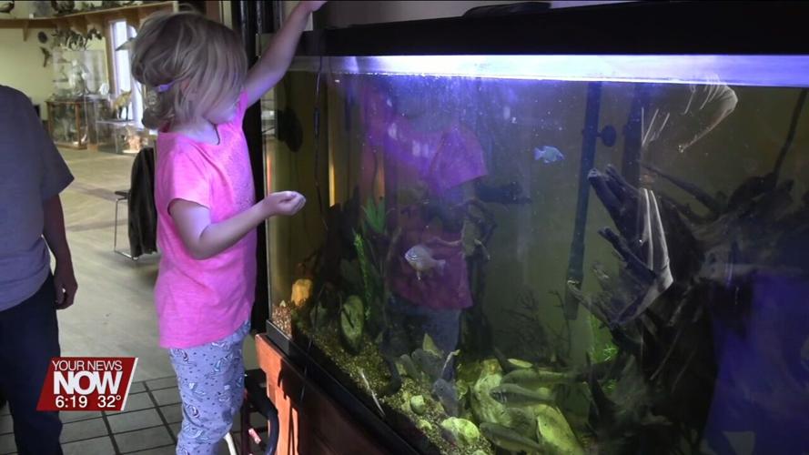 JAMPD offers the public a chance to check out their educational animals during feeding time