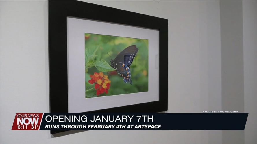 One of the largest photography shows in the region happening at ArtSpace