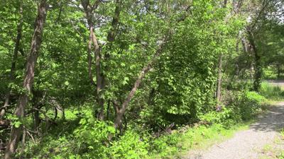 Johnny Appleseed Park District prepares new Beil’s Buck Run Nature Area for opening